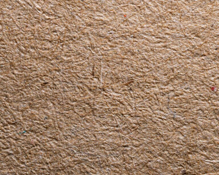 FSC and PEFC certified kraft paper texture, sustainable forest source