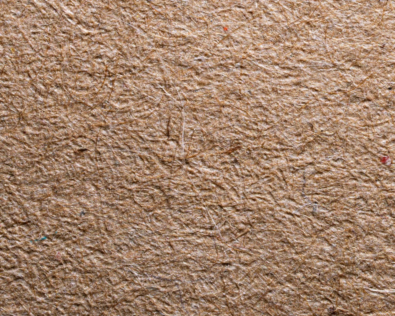 FSC, PEFC, and the paper-bag certification maze