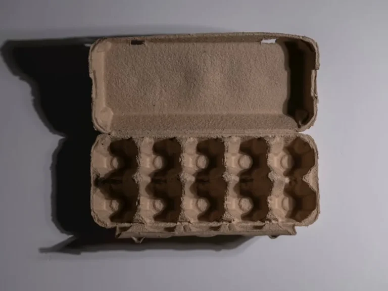Compostable Packaging vs Recyclable Packaging Explained
