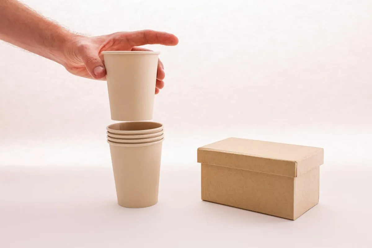 Compostable, Recyclable, and Reusable Packaging Explained