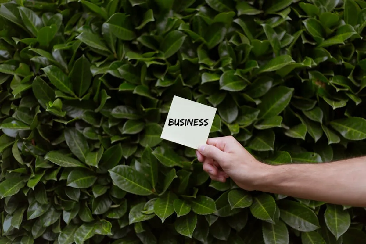 Eco-Friendly Packaging vs Alternatives: What Is Better?