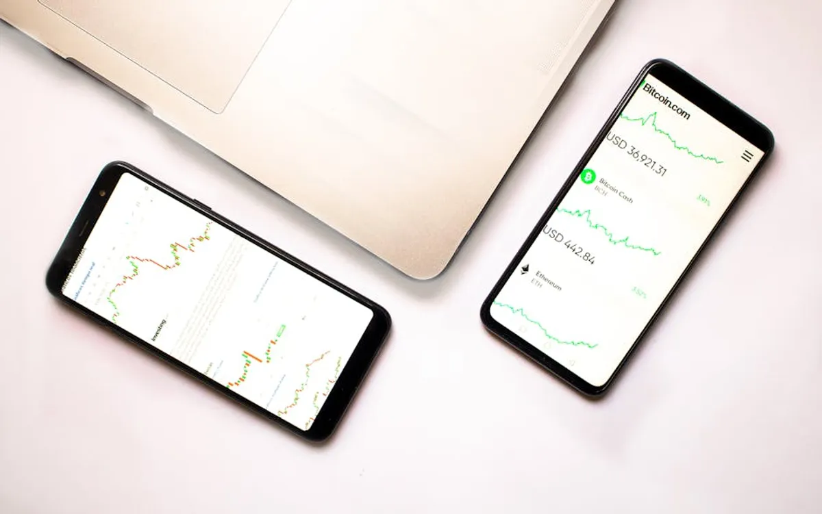 gaseping.com vs. Broader Search Trends: Lessons for green businesses
