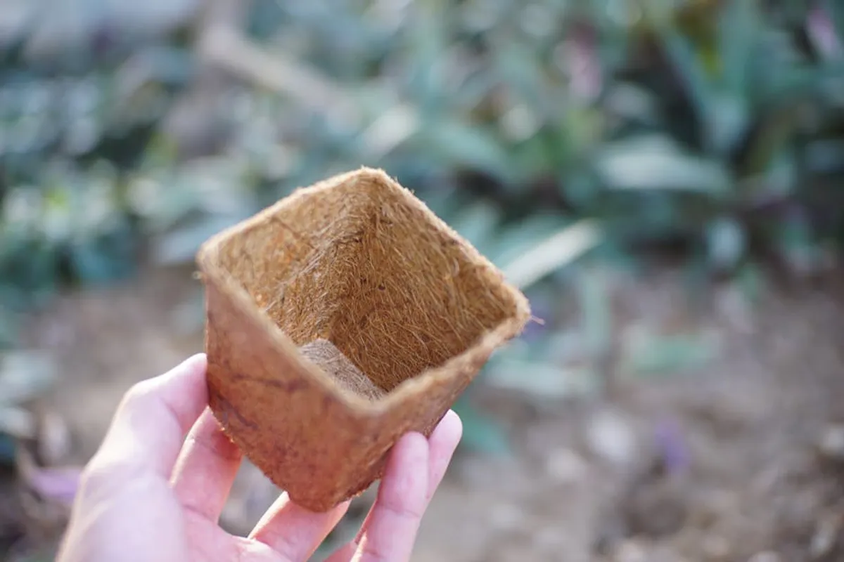 How to Choose Compostable Packaging for Your Brand