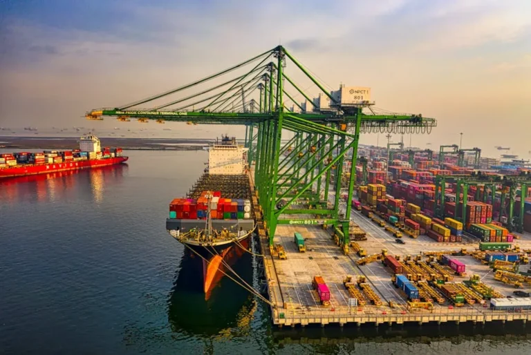Sustainable Shipping Materials vs Alternatives: What Is Better?