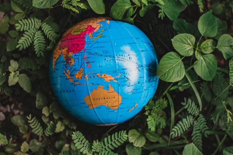 World Environment Day 2026: Business Awareness Ideas