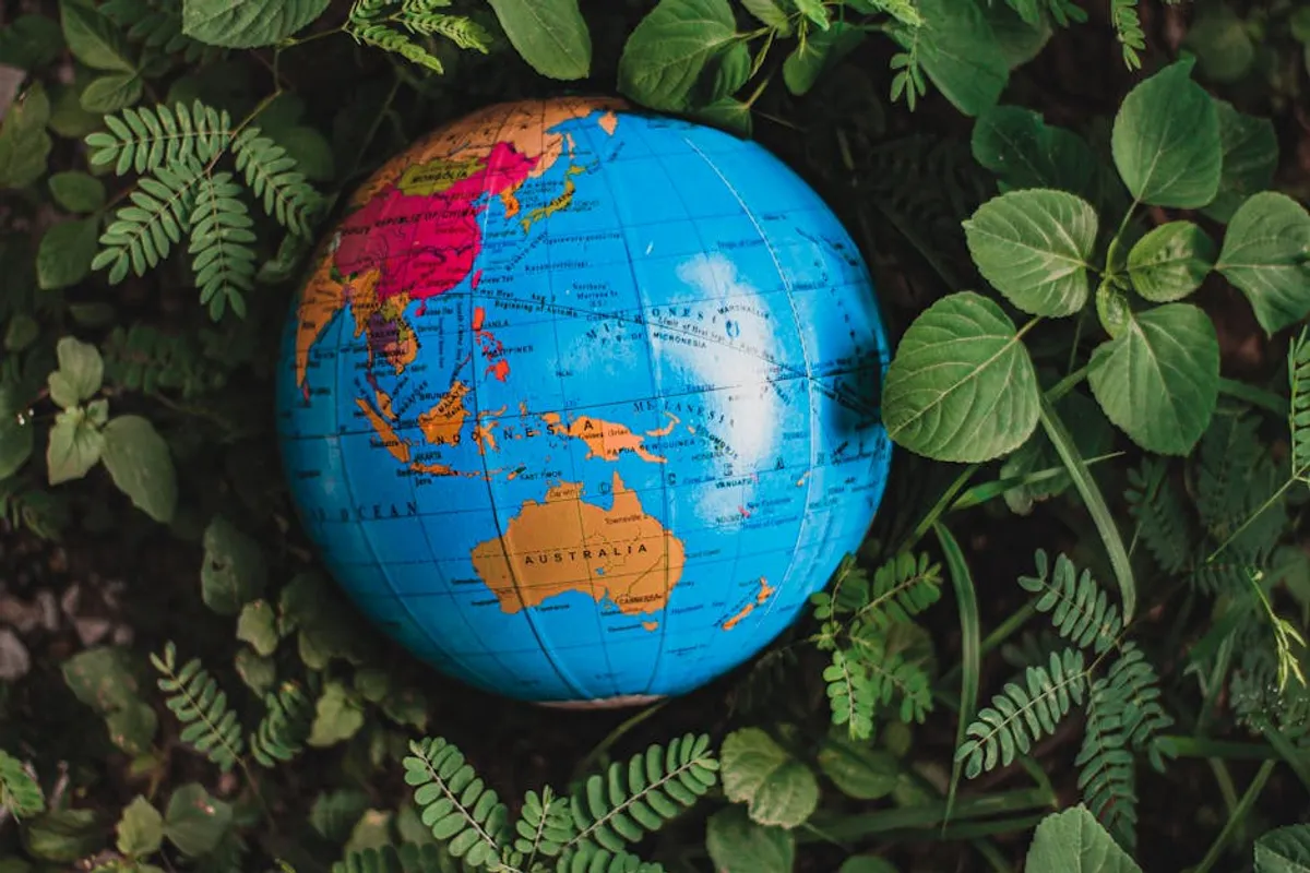 World Environment Day 2026: Business Awareness Ideas